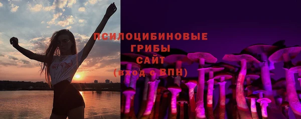крисы Няндома
