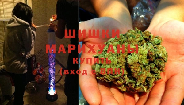 гашик Алзамай