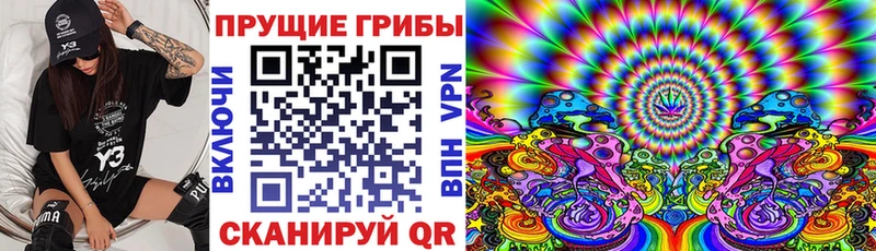 Псилоцибиновые грибы Psilocybine cubensis  цена   Строитель 